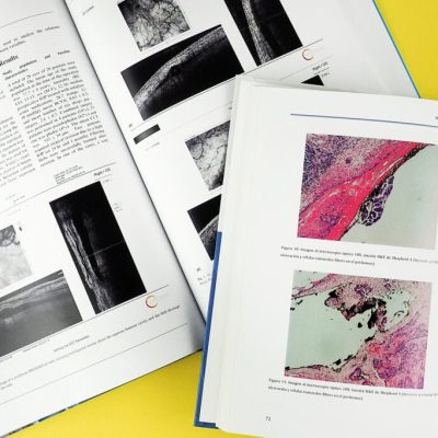 interior tesis doctoral Estudi Roig